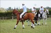 UKPA NC SAT_2831